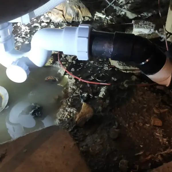 New bath waste and trap fitted under the bath
