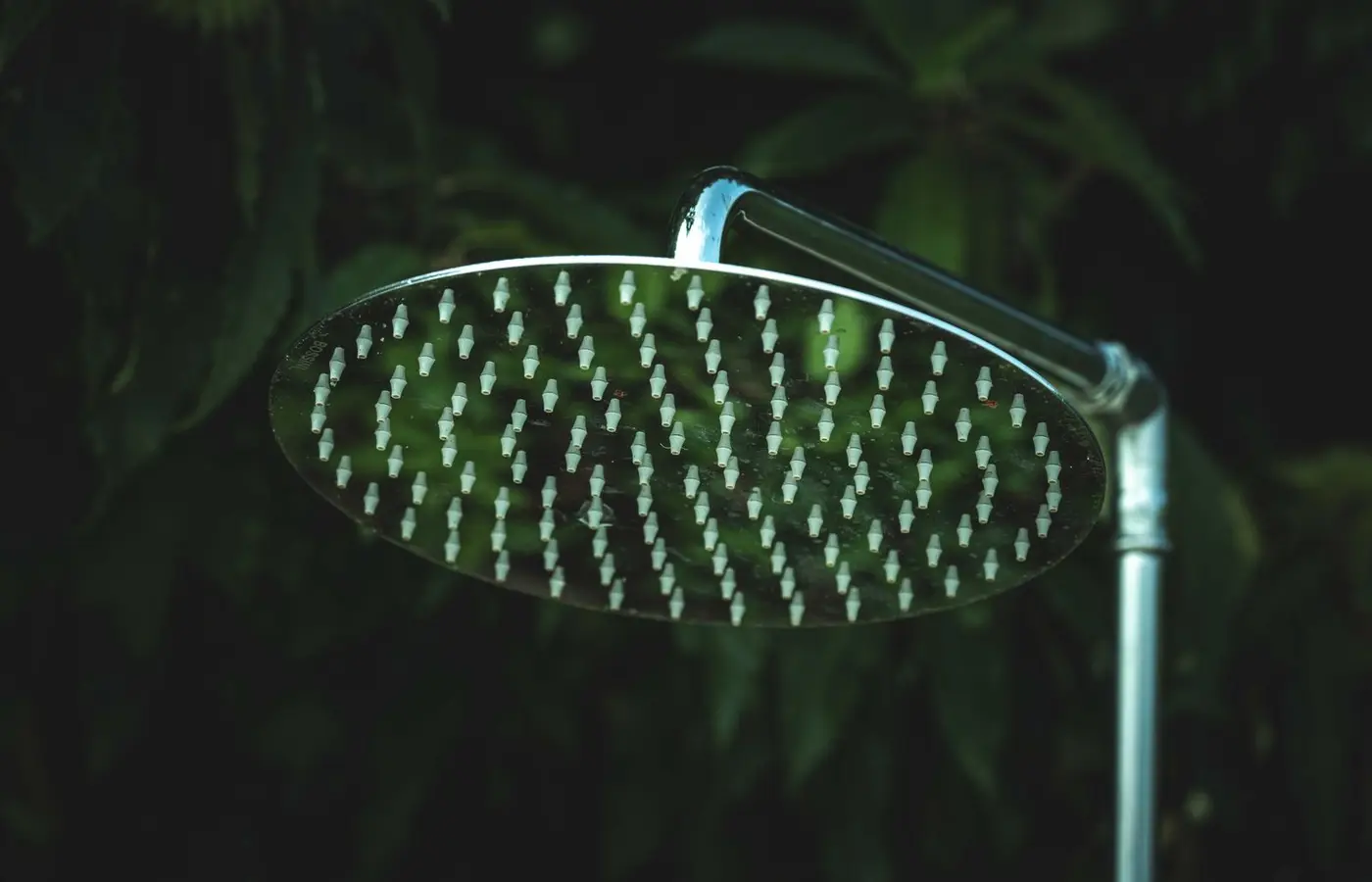 A close-up of a silver shower head in front of lush green leaves, outdoors.