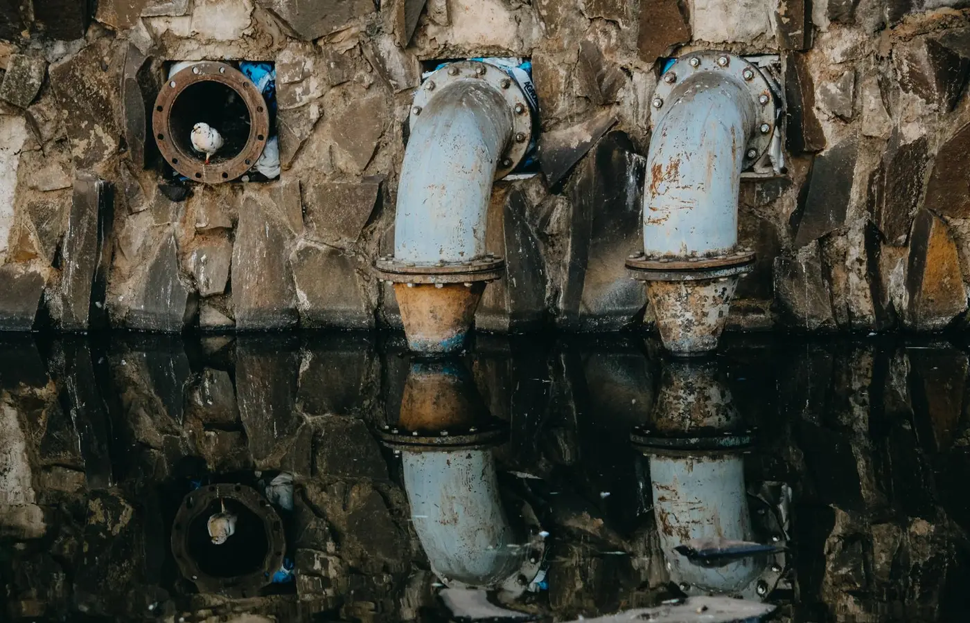 A seagull perches on rusty industrial pipes reflecting in the water at Ribeirão Preto, Brazil.