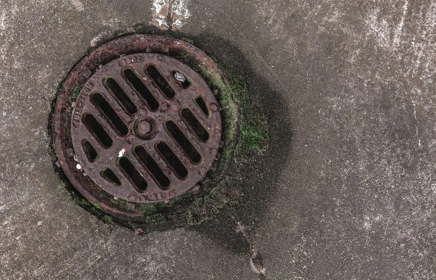 Close-up photo of a rusty drain grate with moss, offering a textured urban look.