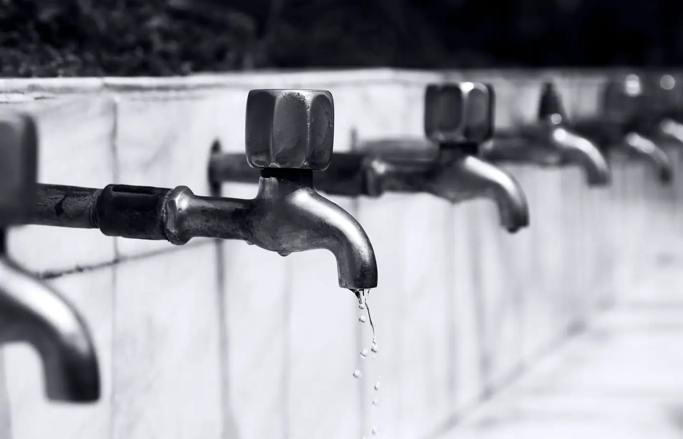 Black and white image of a row of faucets with water dripping, highlighting plumbing details.
